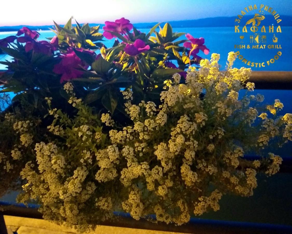Zlatna Ribica Golubac Exterior foto